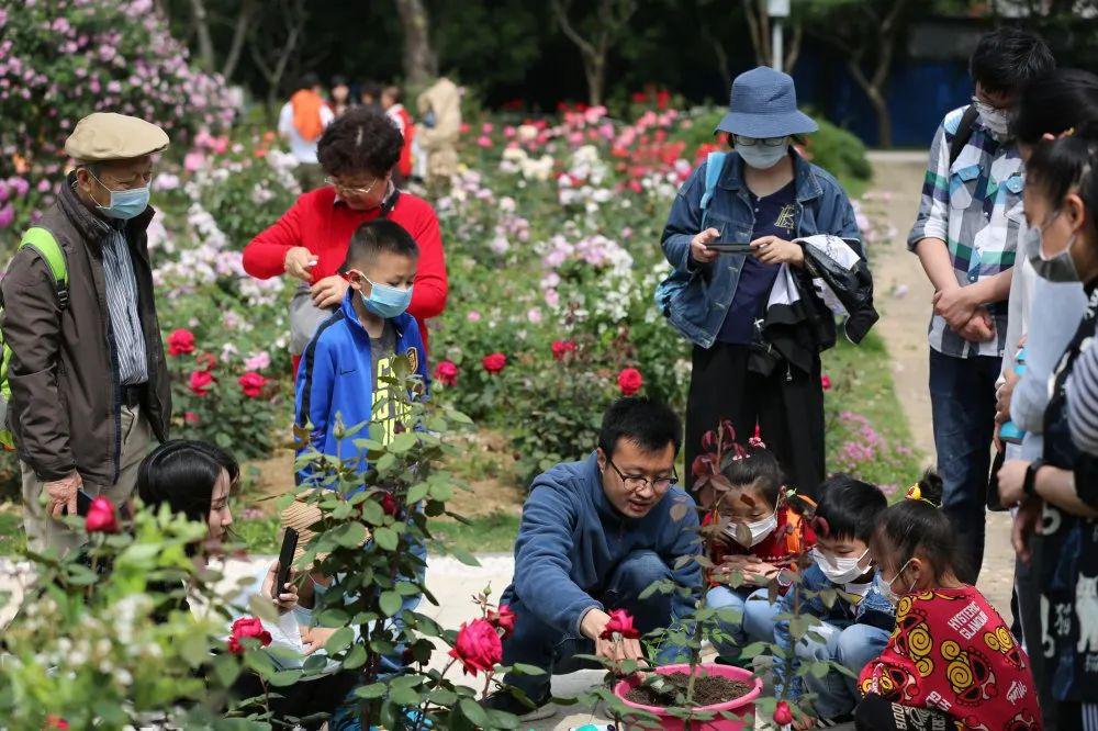 所园与江苏省生态环境厅联合开展蔷薇花信自然课堂直播活动