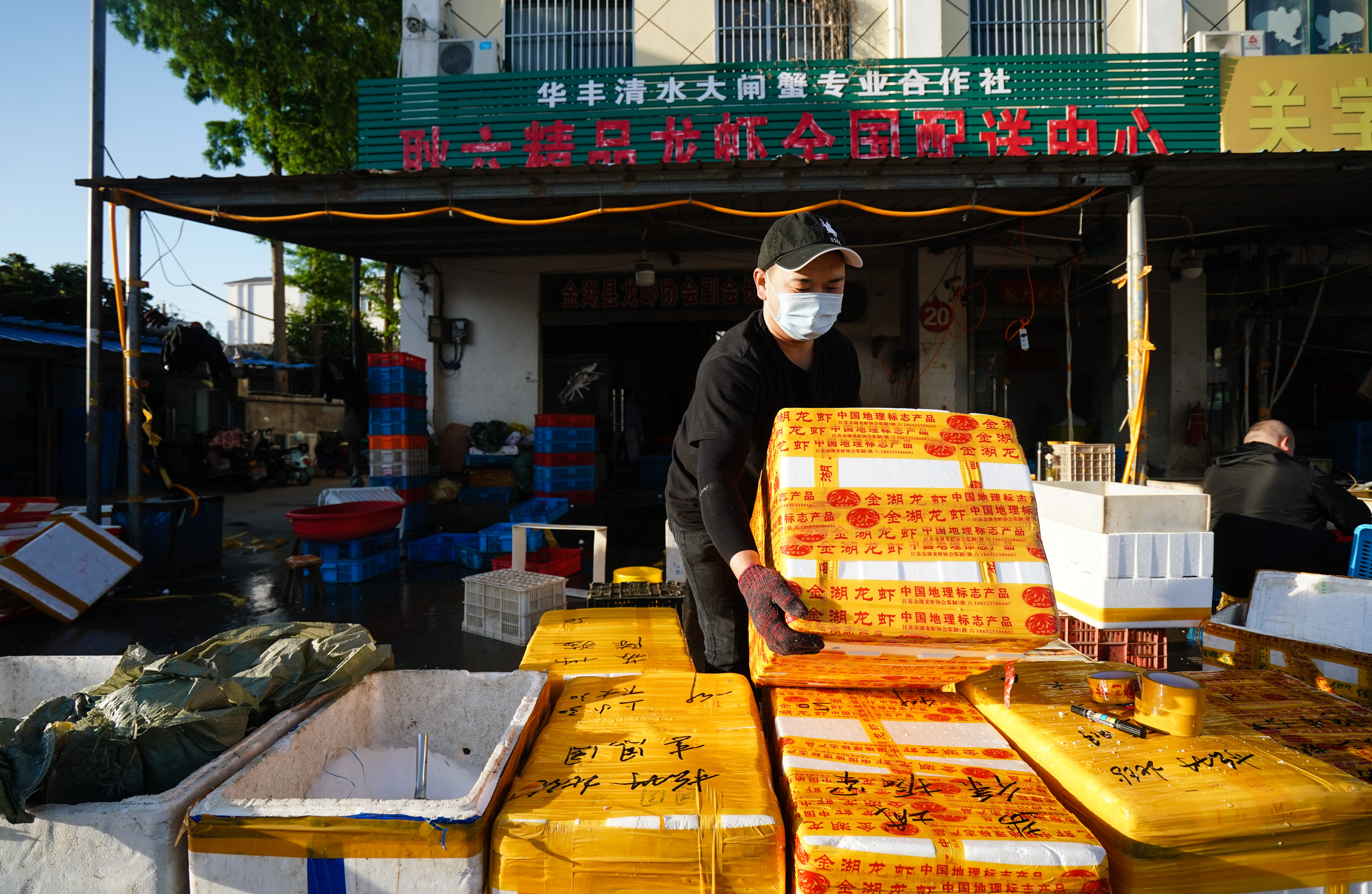 在金湖县龙虾批发市场,工人在挑选分装小龙虾(5月12日摄)
