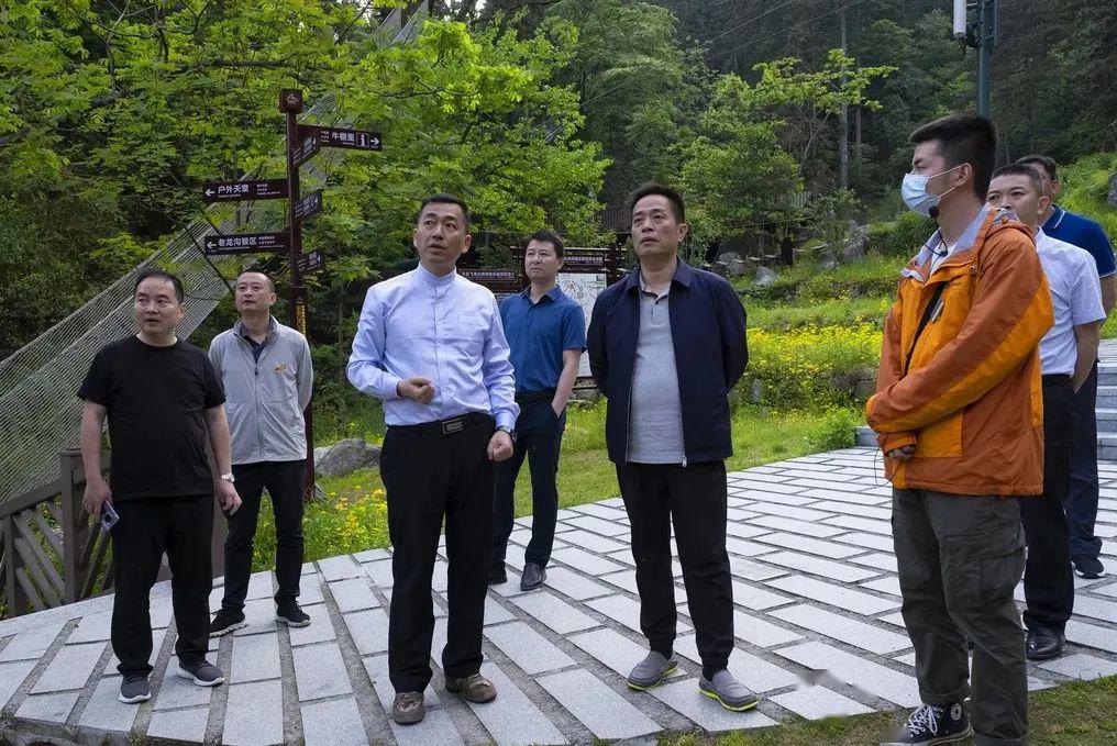 汪涛调研天岳幕阜山和阜山风情民居项目建设