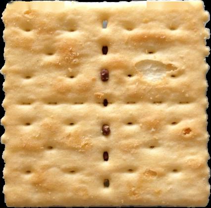 小朋友,你们知道这几种形状的饼干怎样平均分给两只狗熊嘛?