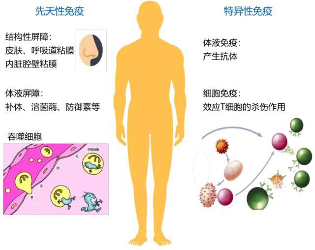 特异性感染 来自搜狐网