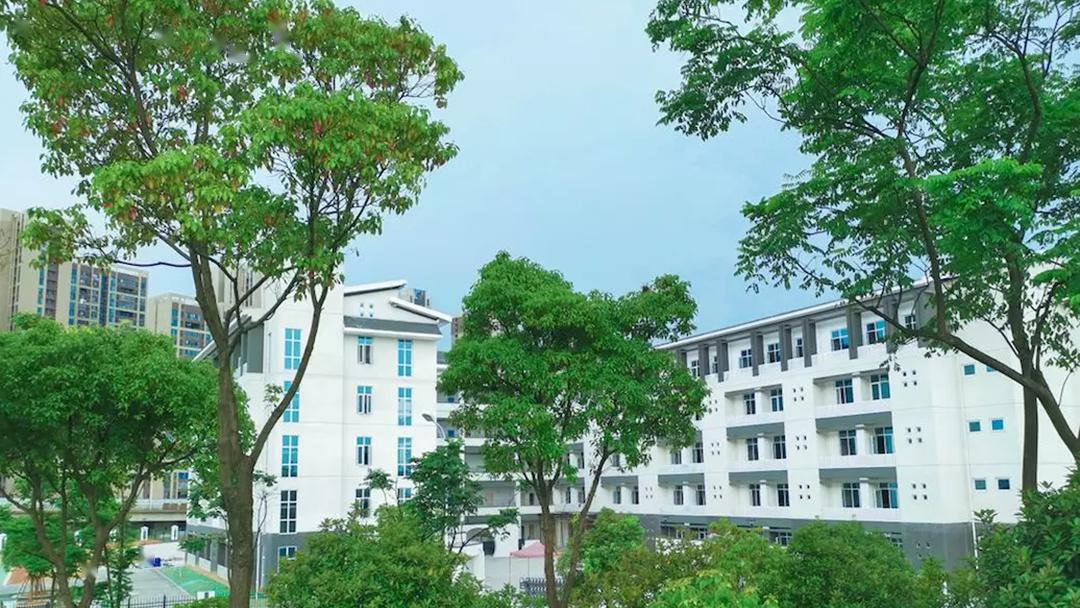 魅力双语绽放洋湖我在长郡双语洋湖实验中学等你