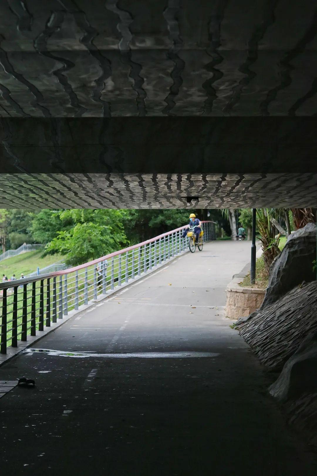 深圳人的第①场夏日福田绿宝石公园承包了