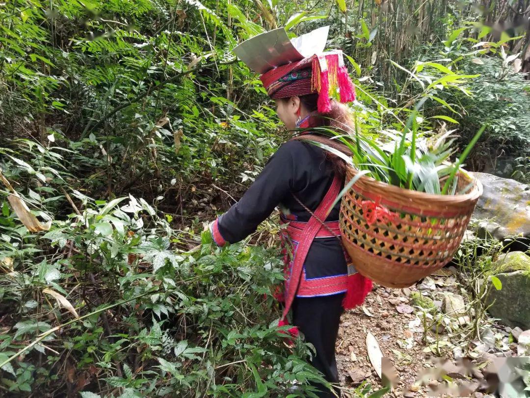 步入夏季每天这样这样做提高免疫力清出体内湿气可惜很少人知道