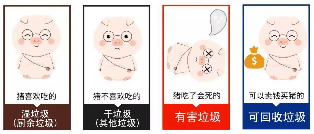垃圾分类正当时,你我都是行动者!