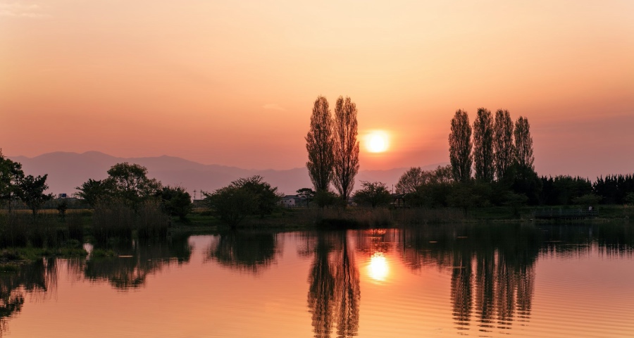 直面质疑与争议 ，从抖音到快手，董明珠再次炒热家电直播带货！-家电圈官网