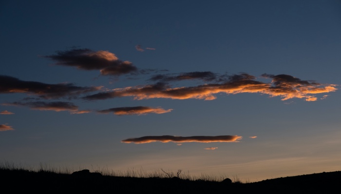 洗碗机市场线上线下两重天，方太西门子美的海尔竞争分野！-家电圈官网