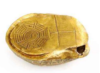 探索神秘为什么古人都用龟壳进行占卜