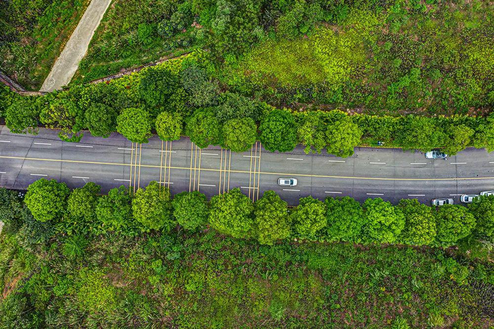 夏天避暑的正确方式山林水语让你遍体生凉