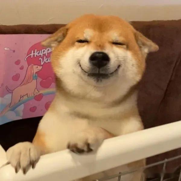 秒变飞机耳,还会眯着眼睛憨憨的笑~如果每天下班看见这么温暖的微笑脸