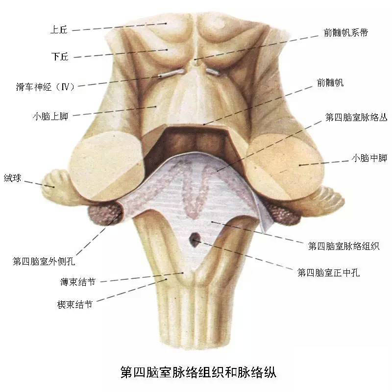 汽车维修保养行业的最新变化与趋势