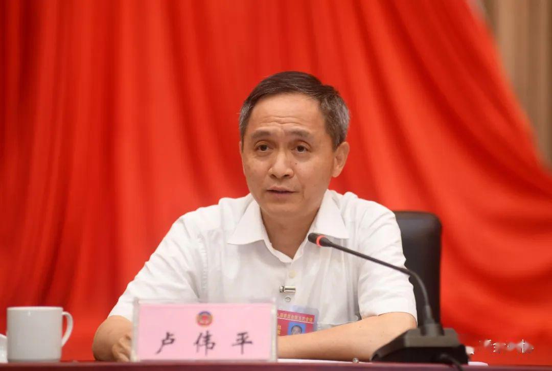 卢伟平参加政协民建工商联界别组讨论