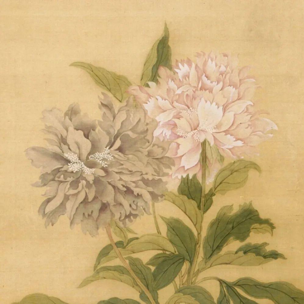 清 恽寿平画山水图轴  #清 恽寿平画五色芍药图轴  清 邹一桂花卉图轴