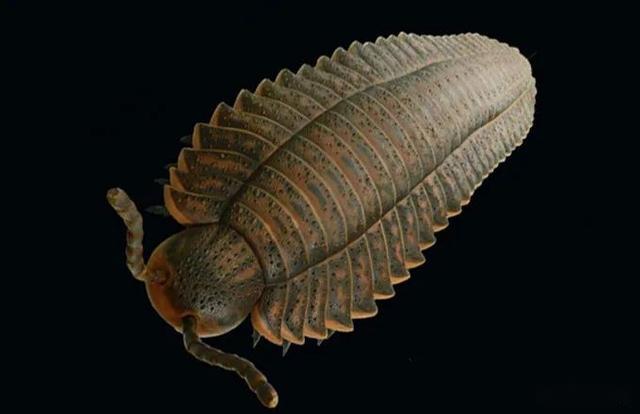 史前恐怖巨虫时代蜻蜓比鸟大蝎子近1米蜈蚣2米多