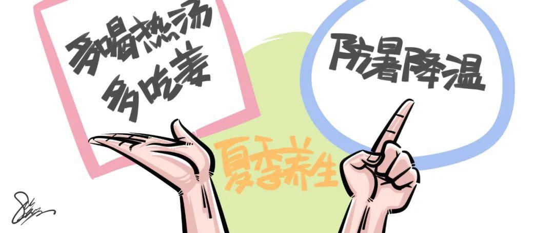 夏天到底应该解暑降温吃西瓜还是春夏养阳喝肉汤呢