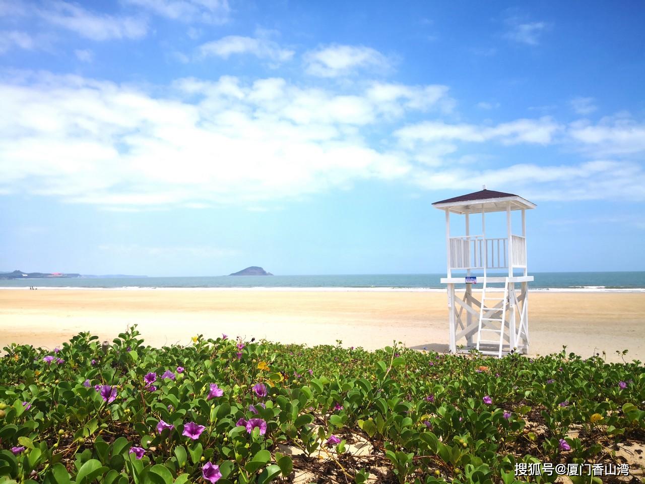 厦门61香山湾惊现蓝色奇观