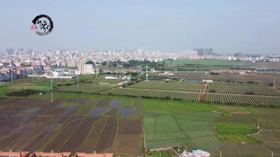 賓陽縣外來花木種植戶及部分本地農戶在該縣賓州鎮,大橋鎮等鎮的永久