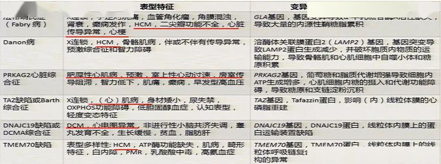 干货丨几种常见心肌病的基因检测要点