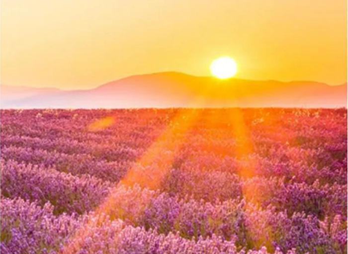 新闻早餐图们江中救人的好心人找到了太疯狂他深夜爬