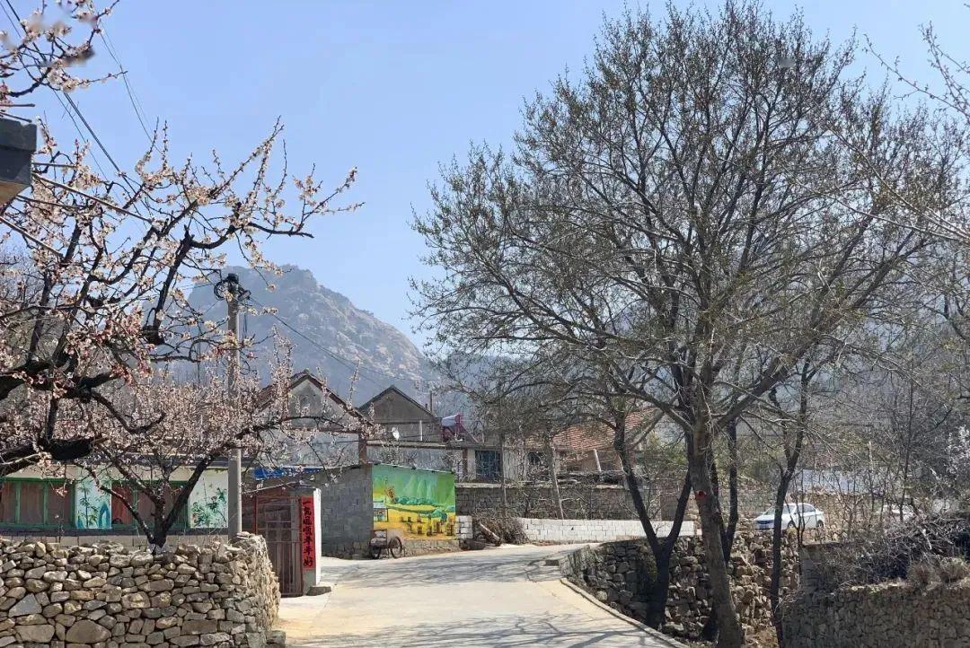 藏着不少出名的古迹!真有景~_村里集镇