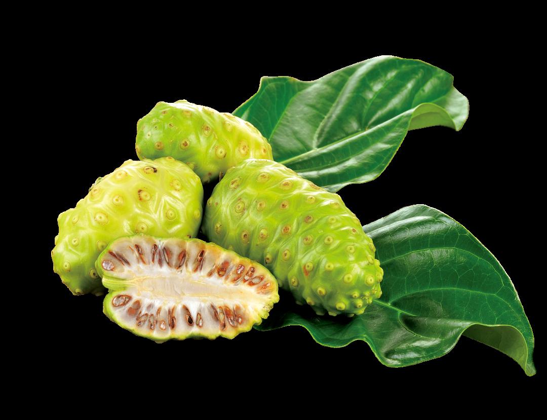 四年磨一剑让欧洲信任大溪地诺丽