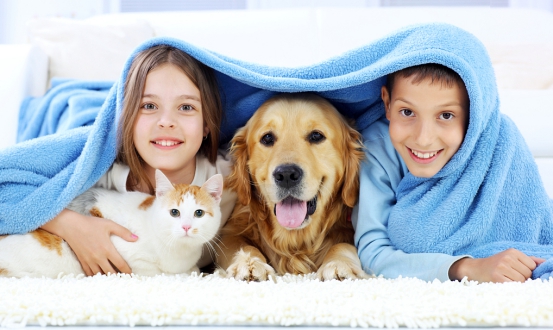 有小孩可以养宠物吗?_孩子