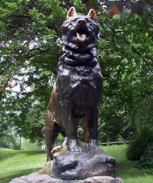 看多哥学地道英语口语