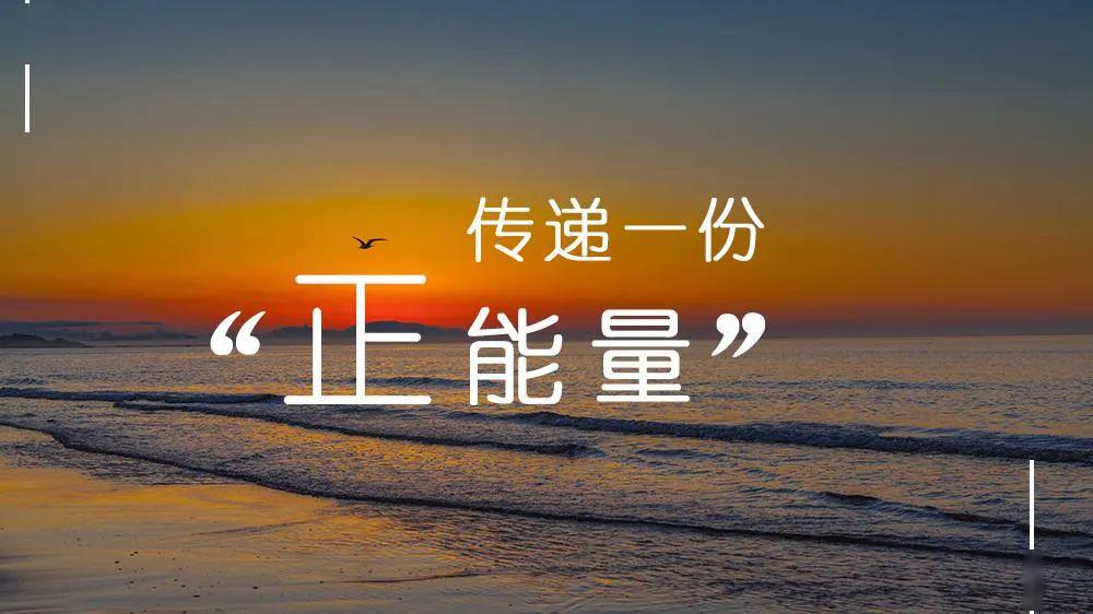 一女士捡到内含价值7万元左右的钱包急寻失主,拾金不昧传递正能量