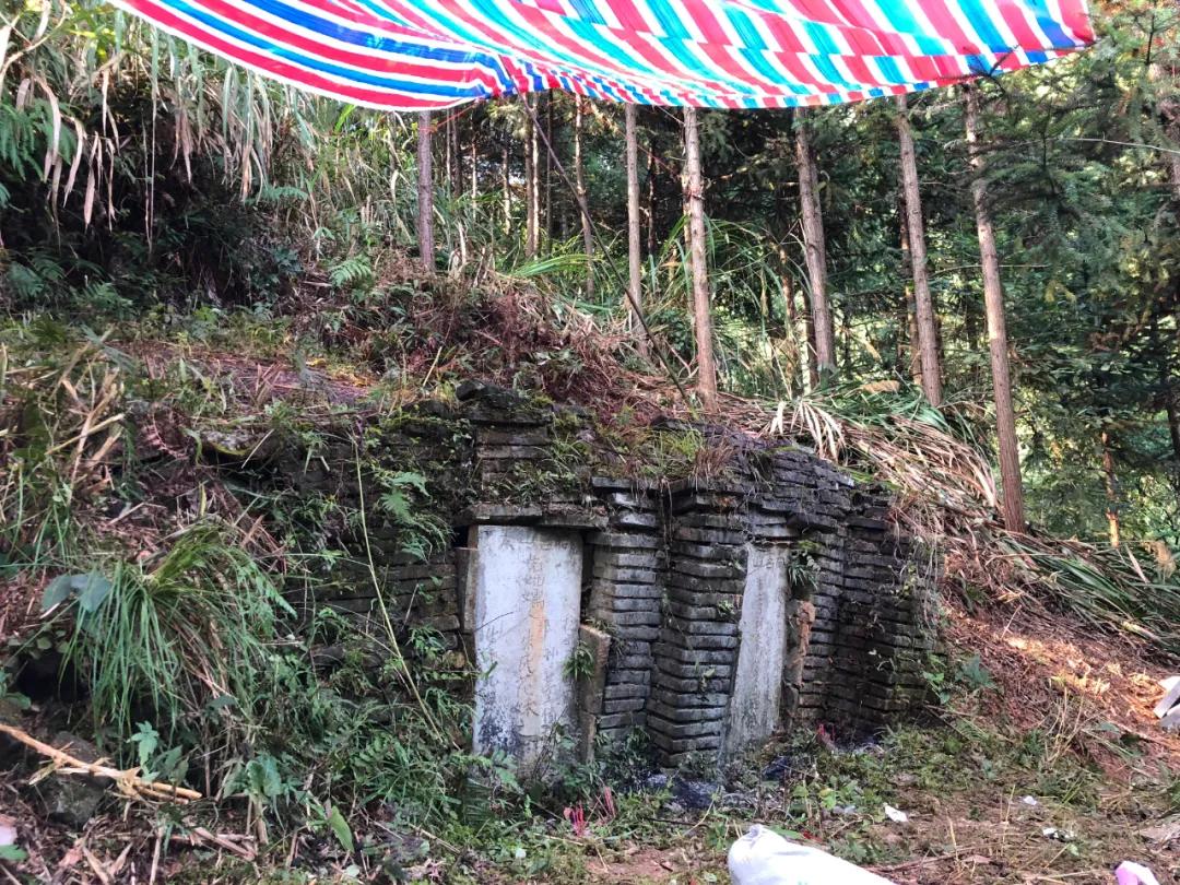 浙江一无名女尸被开棺验尸!凶手竟是