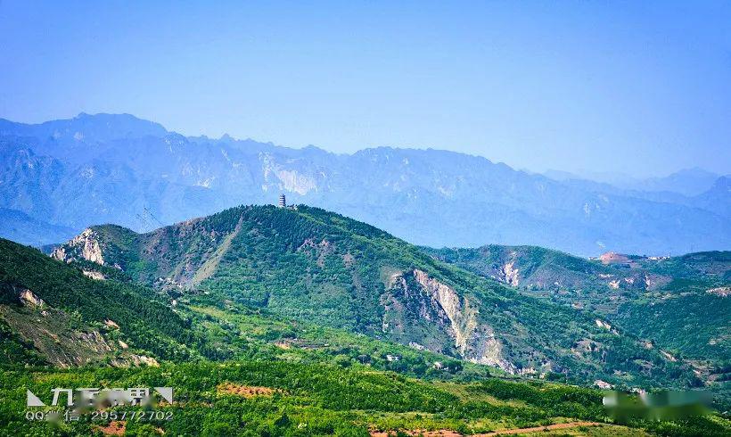 ◣九岳视界◥ 虎头山上白鹃梅