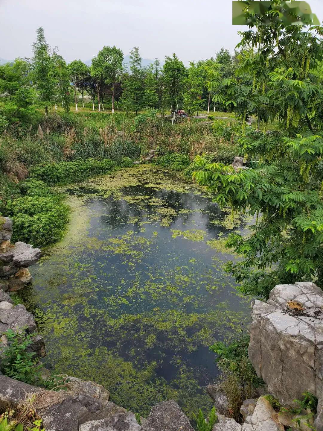 秀山滨江公园,如此"景观" 实在煞风景