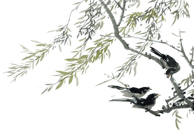 640_446gif 动态图 动图