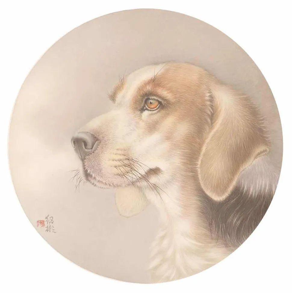 游绍彬意象工笔动物画写实狗只需100元