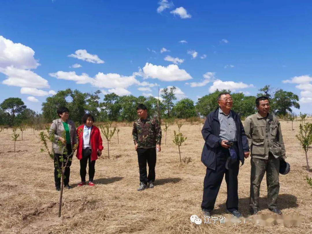 阜新彰武县章古台镇关工委组织五老传授果树技术助力扶贫攻坚