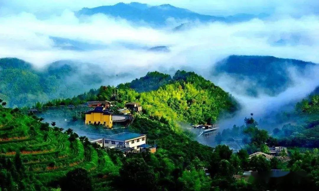 2020年百家"江西康养旅游打卡地"名单出炉!