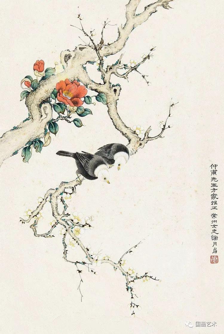 名家推介丨谢月眉花鸟作品欣赏,美不胜收!