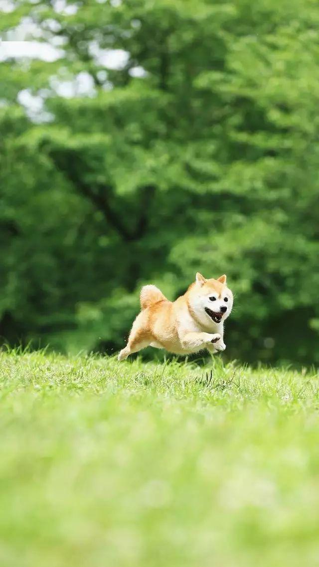 壁纸浅橘色孤岛
