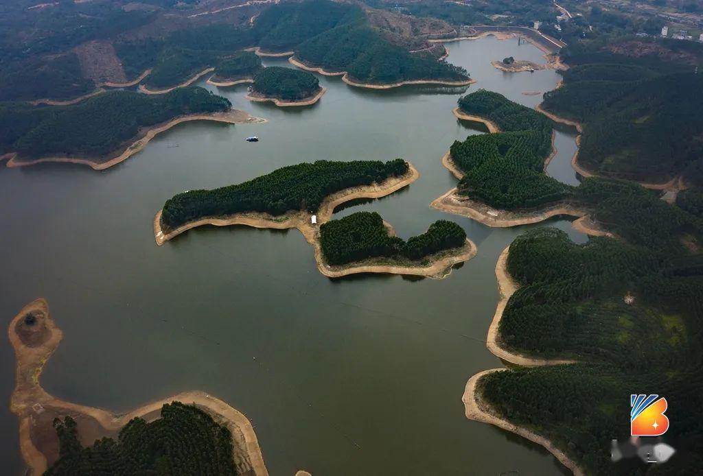 博白县清清两江水悠悠客家情华鸿杯主题摄影大赛作品展