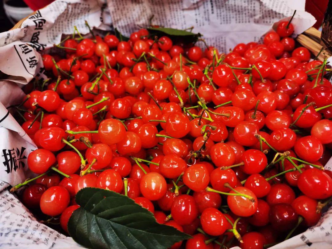 爱吃樱桃的青岛人注意采摘攻略最新价格来了