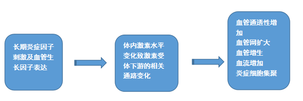 什么是皮肤炎症?到底该如何抗炎?_组织