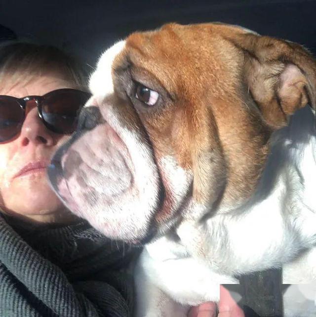 狗子一脸懵逼今天大家好奇怪哦为啥老对着我笑