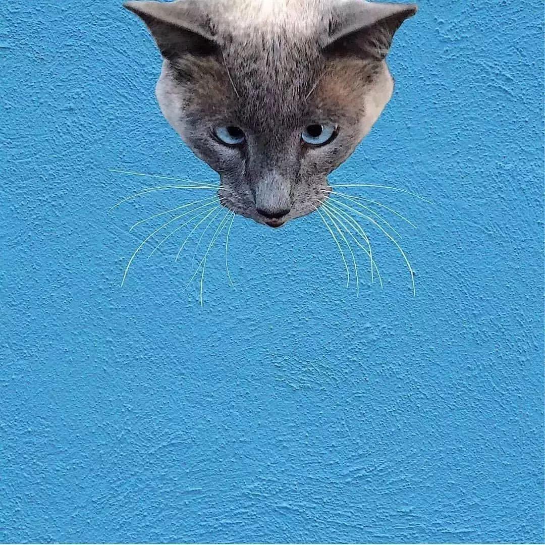 朋友圈个性封面背景图