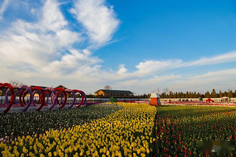 春城花都长成记