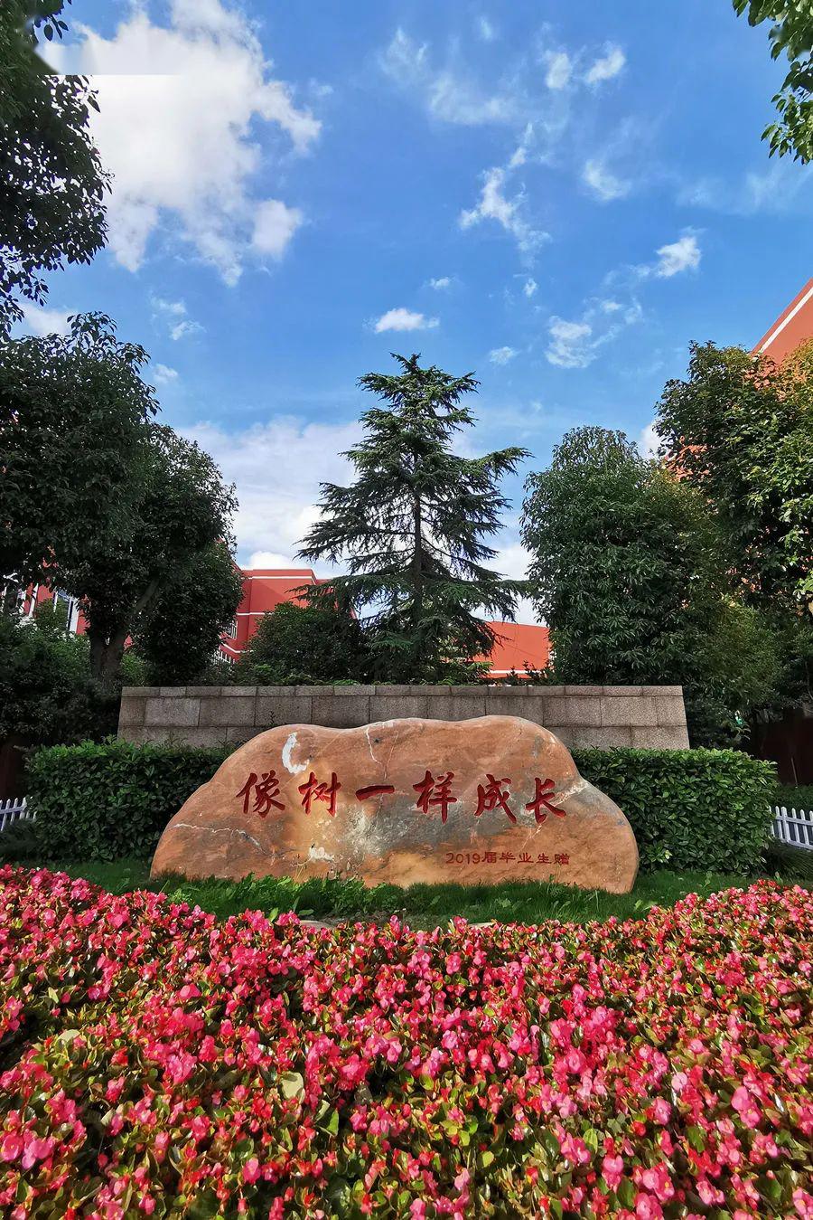 上海市金杨中学2020年新生入学登记审证的通知