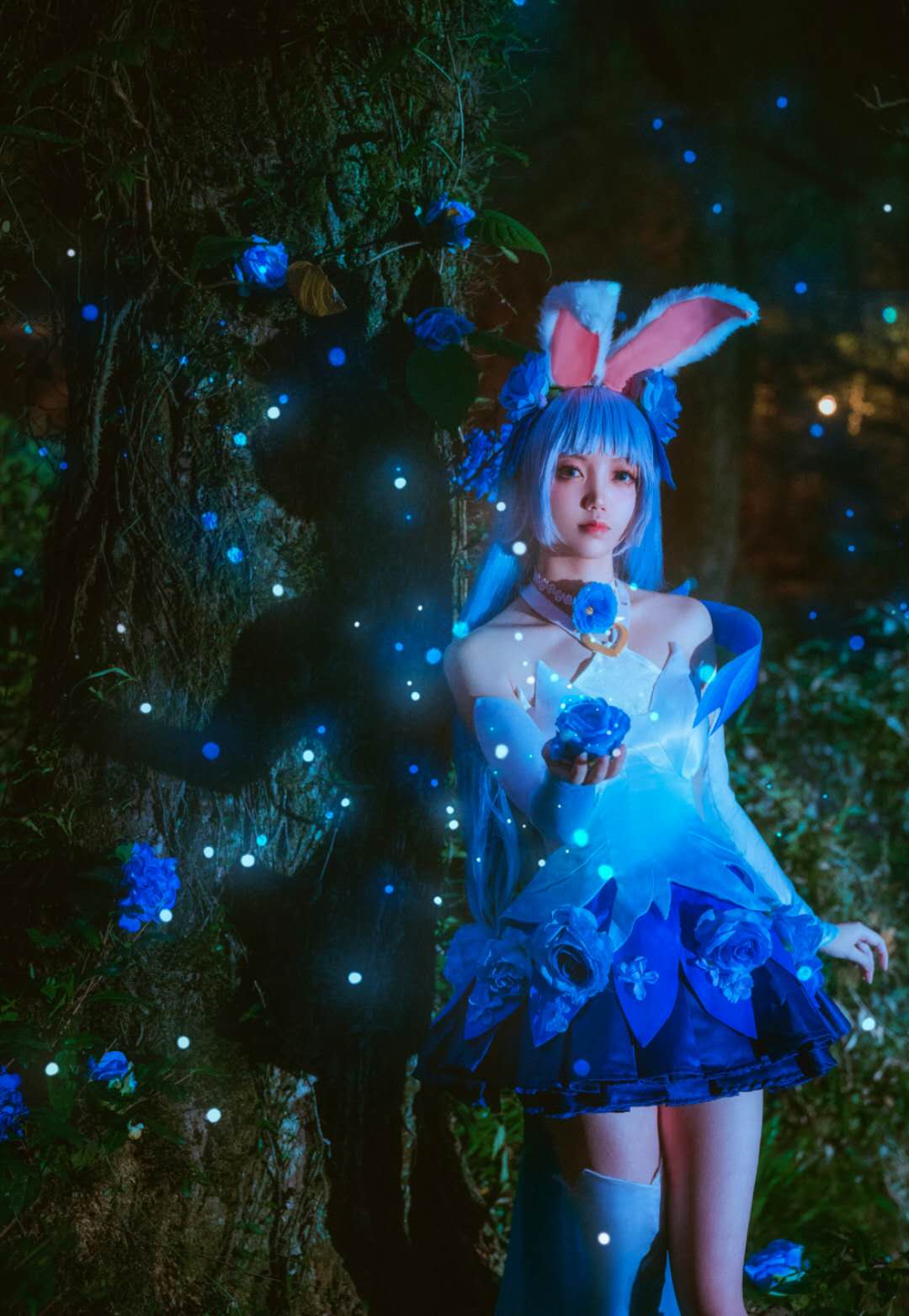 acg最靓cos第35期可爱兔耳娘蓝毛阿离蹦蹦跳跳闯入你的心