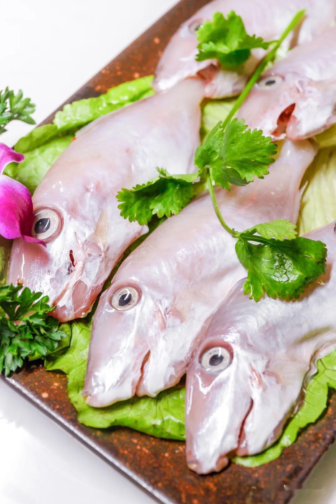 还有龙虾,豆腐鱼,深海鱼肚,迪仔鱼,鱿鱼.店内海鲜丰富到挑花眼.