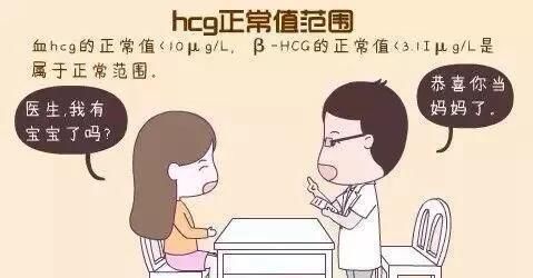 如何讀懂hcg和孕酮,產檢報告單你會看嗎?