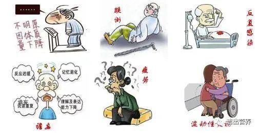 膳食蛋白质与老年人免疫力