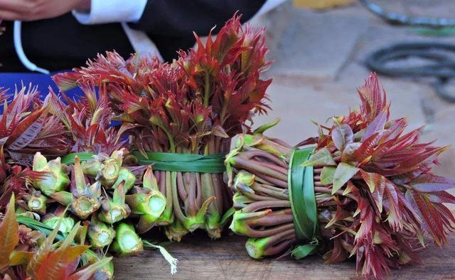 原创清明节踏青遇到这6种野菜记得采摘正值当季错过要等一年