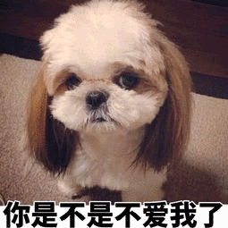 了自己的女儿,还揪人小辫,亲闺女一旁急的直跳脚:哎呀爸爸,我才是你闺